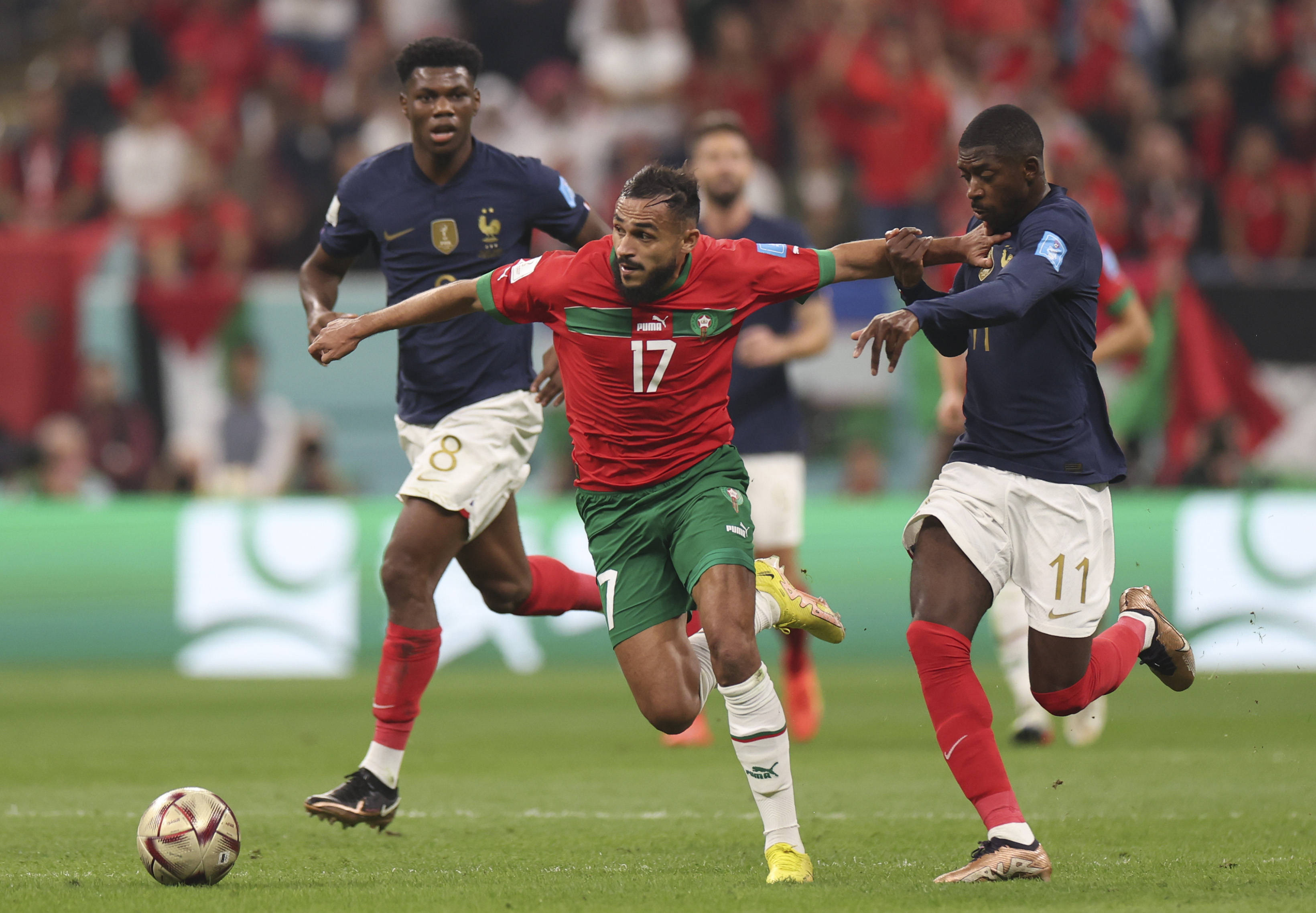 这些案例也 这些案例也