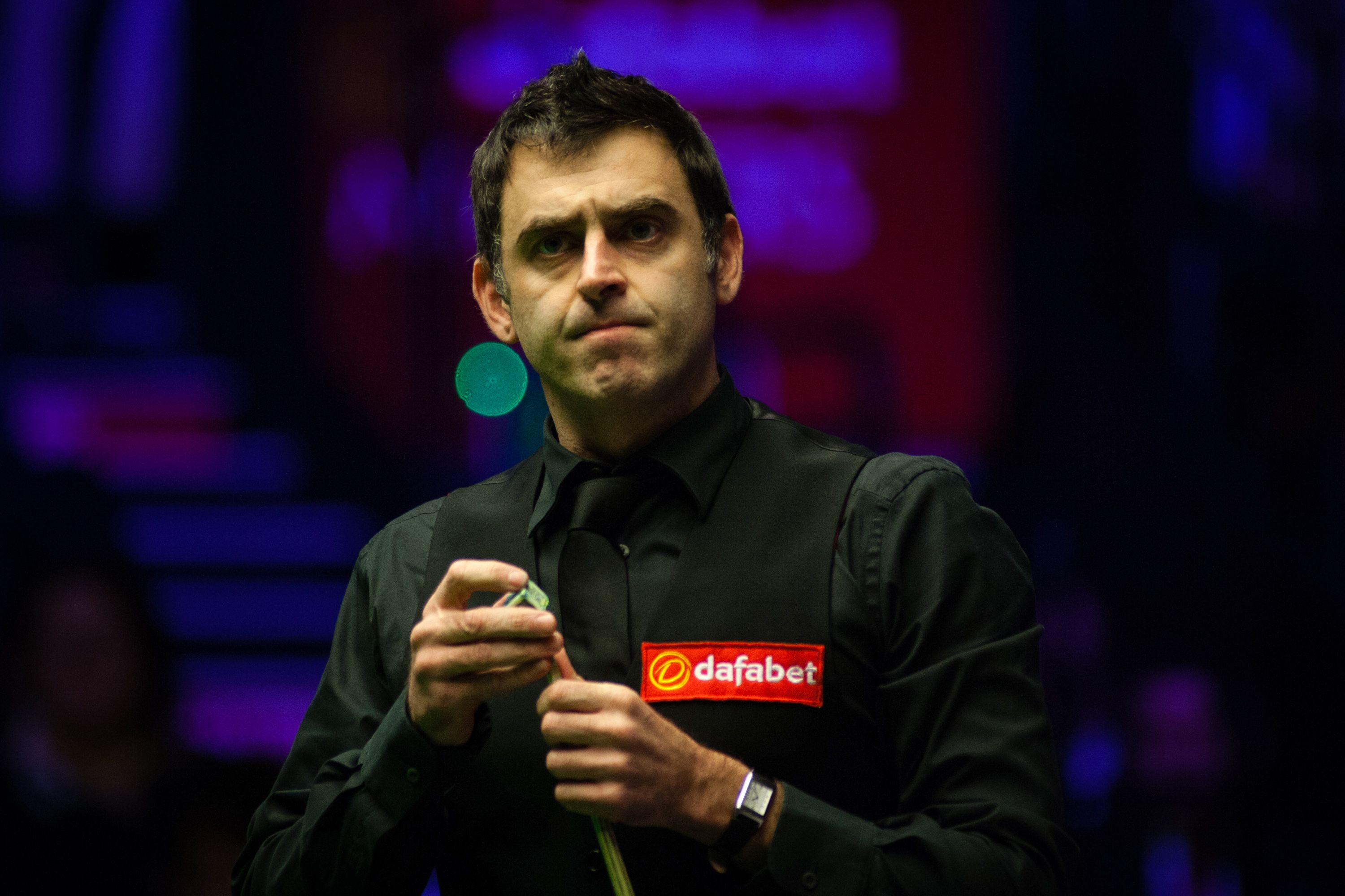 嗅觉见长 嗅觉见长